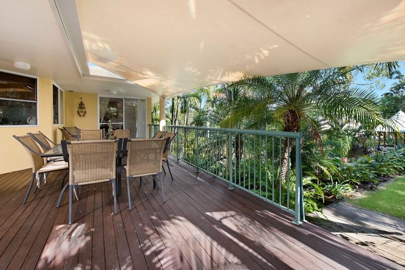 Photo - 28 Bringenbrong Drive, Buderim QLD 4556 - Image 2