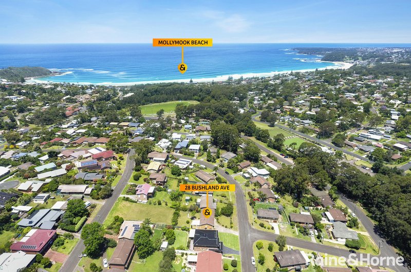 28 Bushland Avenue, Mollymook Beach NSW 2539