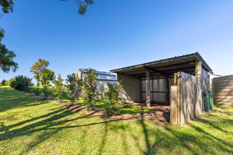 Photo - 28 Crows Ash Lane, Black Mountain QLD 4563 - Image 26