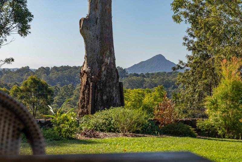 Photo - 28 Crows Ash Lane, Black Mountain QLD 4563 - Image 31