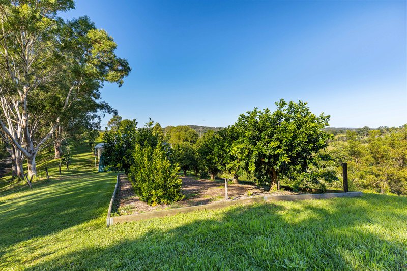 Photo - 28 Crows Ash Lane, Black Mountain QLD 4563 - Image 34