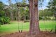 Photo - 28 Frost Road, Cooranbong NSW 2265 - Image 5