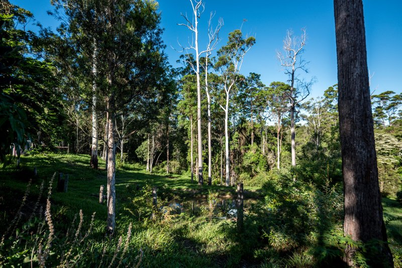 Photo - 28 Koala Crescent, Lake Macdonald QLD 4563 - Image 22