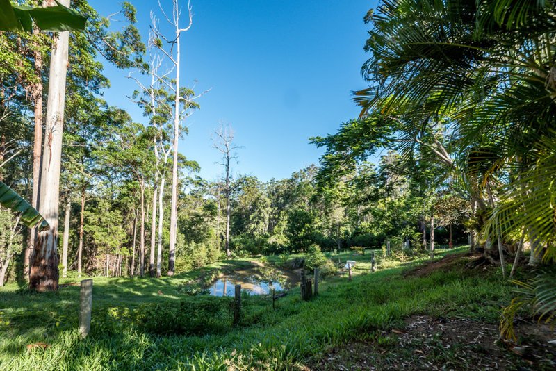 Photo - 28 Koala Crescent, Lake Macdonald QLD 4563 - Image 24