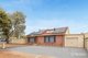 Photo - 28 Lindsay Street, Elizabeth Downs SA 5113 - Image 3