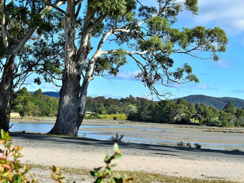 Photo - 28 Medeas Cove Esplanade, St Helens TAS 7216 - Image 16