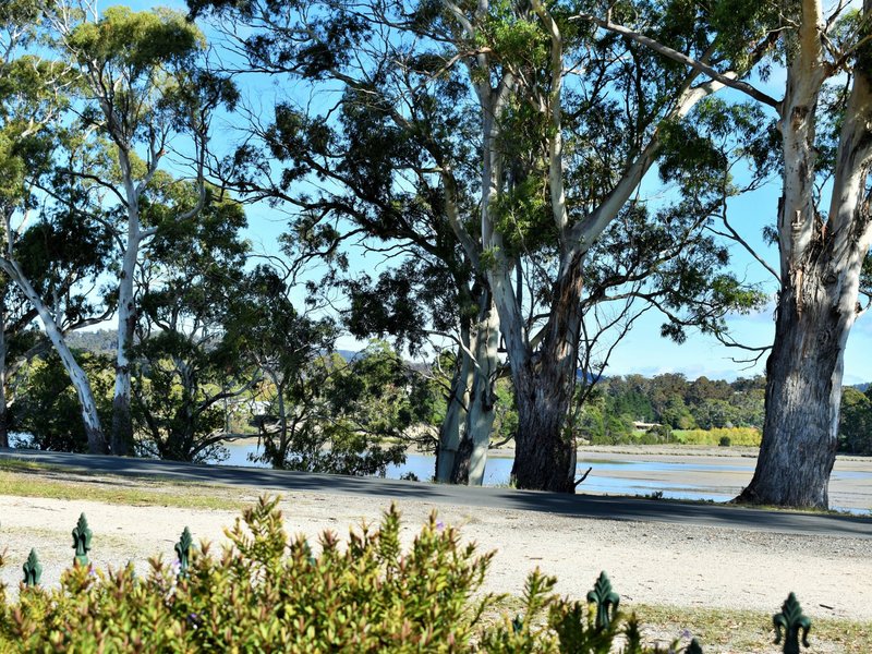 Photo - 28 Medeas Cove Esplanade, St Helens TAS 7216 - Image 17