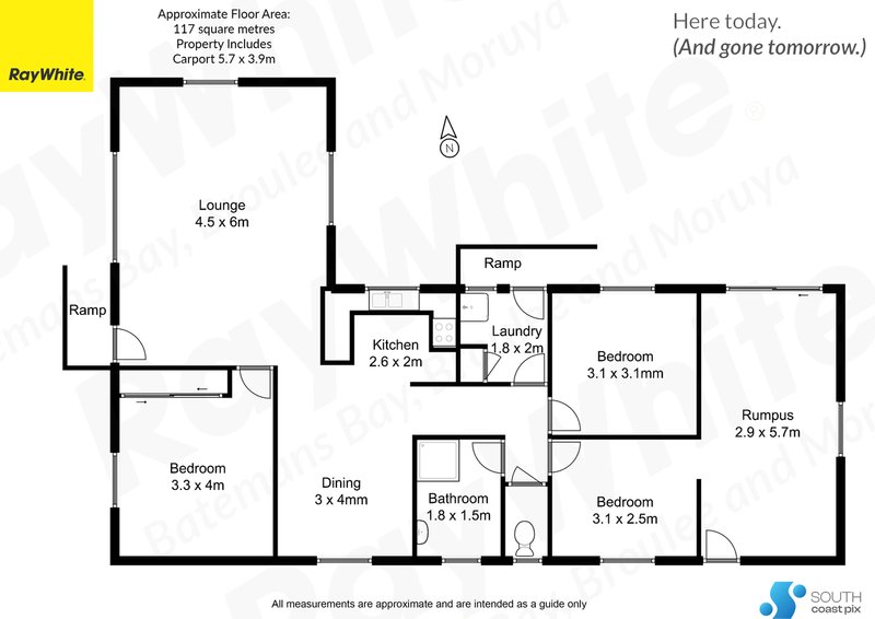 Photo - 28 Moruya Street, Moruya NSW 2537 - Image 17