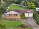 Photo - 28 Myrtle Creek Avenue, Tahmoor NSW 2573 - Image 14