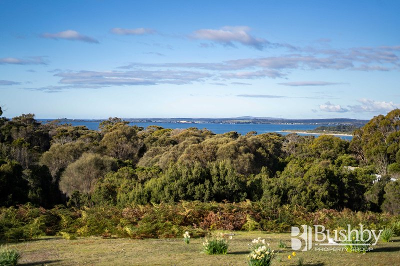 Photo - 28 Ocean View Drive, Greens Beach TAS 7270 - Image 3