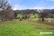 Photo - 28 Pioneer Drive, Mole Creek TAS 7304 - Image 13