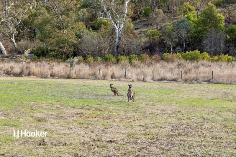 Photo - 28 Powell Road, Kersbrook SA 5231 - Image 6