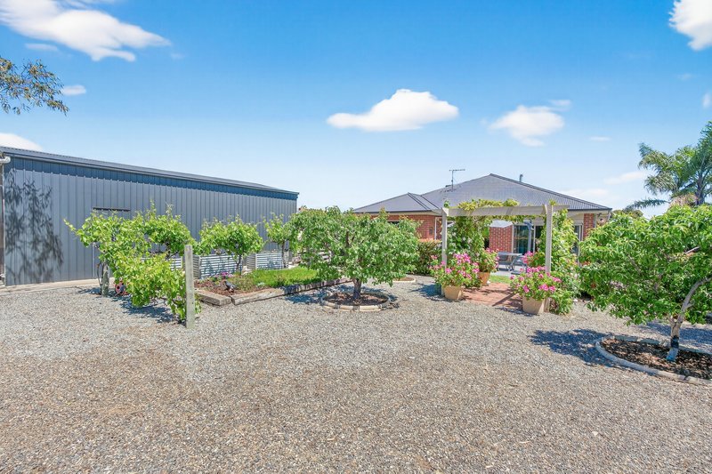 Photo - 28 Quebec Street, Goolwa North SA 5214 - Image 35