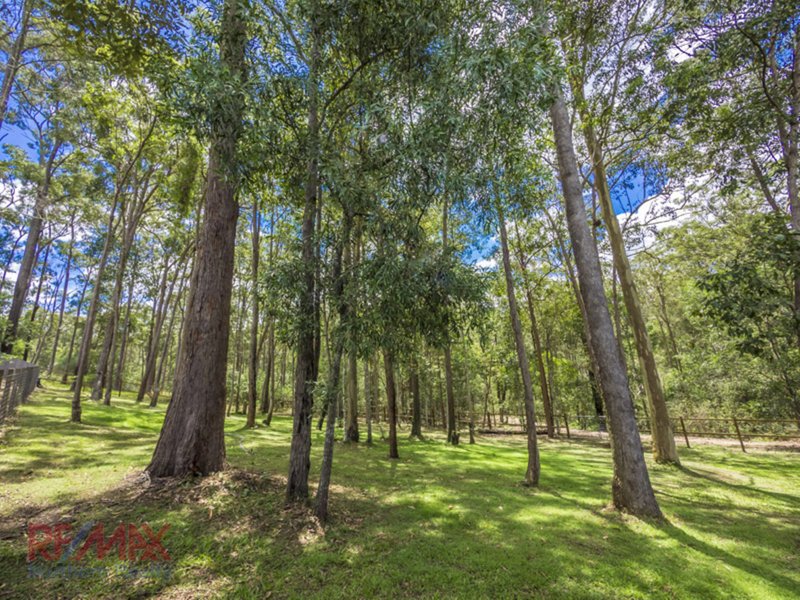 Photo - 28 Rainbird Close, Bunya QLD 4055 - Image 26