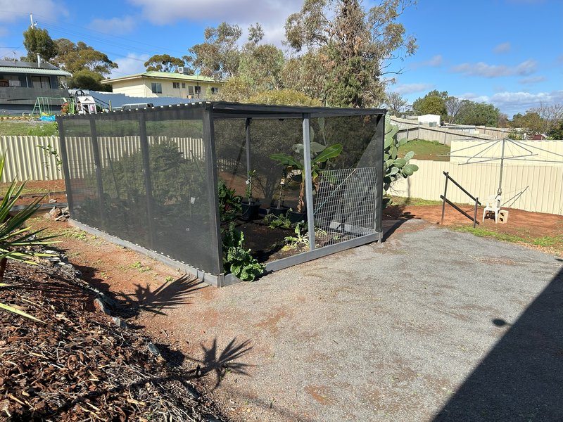 Photo - 28 Serpentine Road, Kambalda East WA 6442 - Image 29