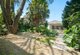 Photo - 28 Spencer Street, Rose Bay NSW 2029 - Image 5