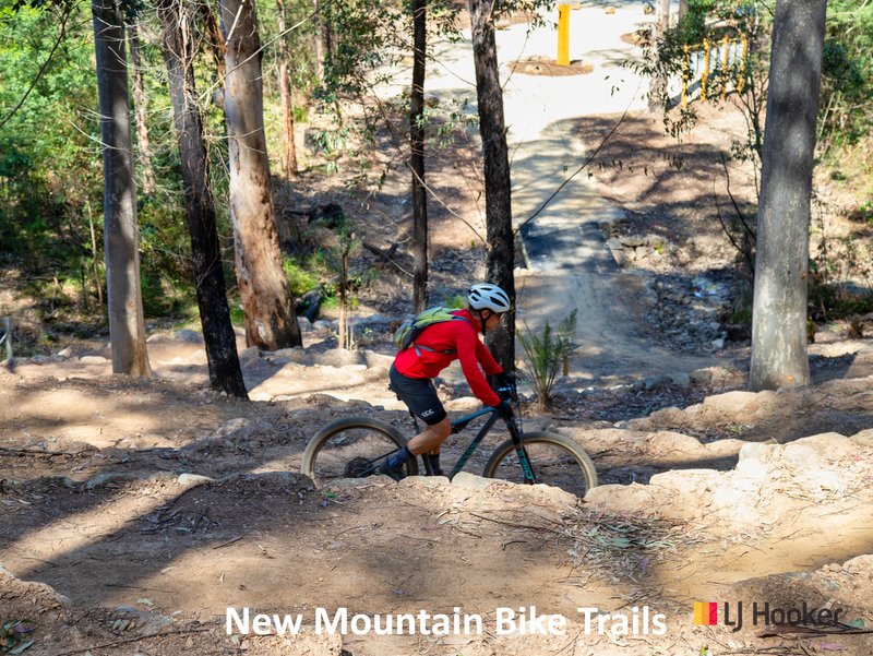 Photo - 28 Sydney Street, Mogo NSW 2536 - Image 21