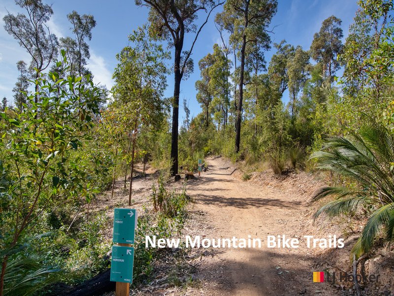 Photo - 28 Sydney Street, Mogo NSW 2536 - Image 23