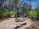 Photo - 28 Sydney Street, Mogo NSW 2536 - Image 24