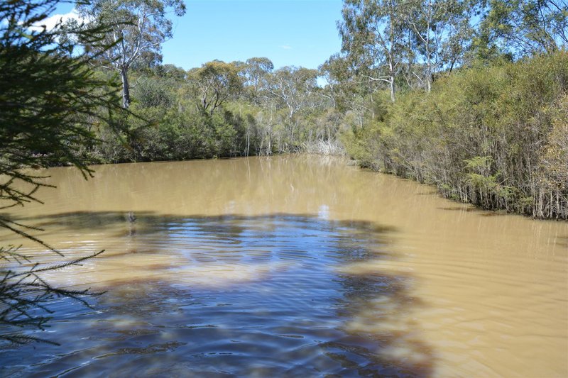 Photo - 28 Tomboye Road, Braidwood NSW 2622 - Image 7