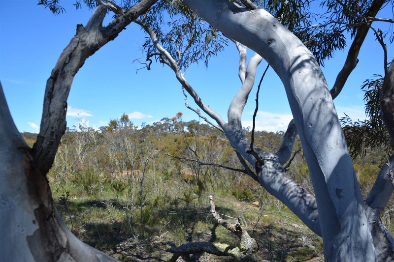 Photo - 28 Tomboye Road, Braidwood NSW 2622 - Image 8