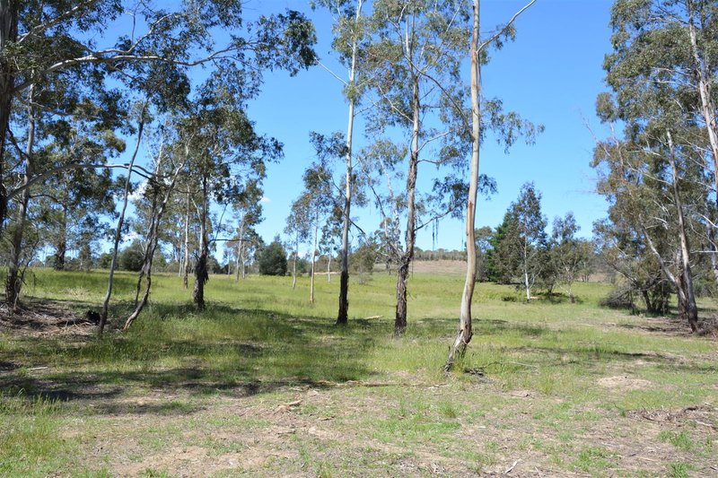 Photo - 28 Tomboye Road, Braidwood NSW 2622 - Image 10