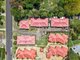 Photo - 2/8 Union Street, Bega NSW 2550 - Image 16