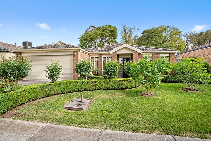 Photo - 28 Yellowbox Avenue, South Morang VIC 3752 - Image 13