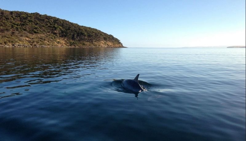 Photo - 280b Ballast Head Rd, Kangaroo Island, Ballast Head SA 5221 - Image 7