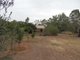 Photo - 281 Hillier Road, Hillier SA 5116 - Image 20