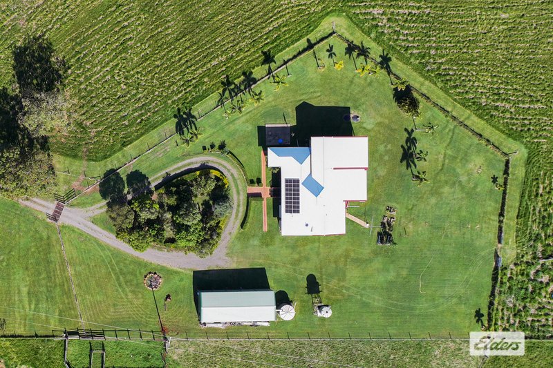 Photo - 281 Limestone Creek Road, Adelaide Park QLD 4703 - Image 7