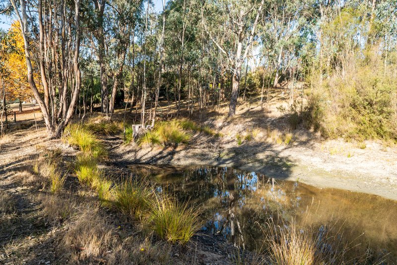 Photo - 281 Osbornes Flat Road, Yackandandah VIC 3749 - Image 30