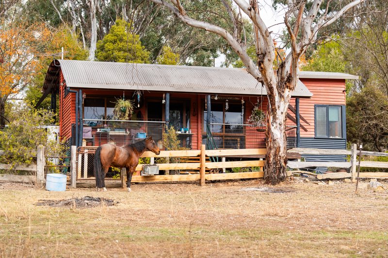 Photo - 281 Osbornes Flat Road, Yackandandah VIC 3749 - Image 33