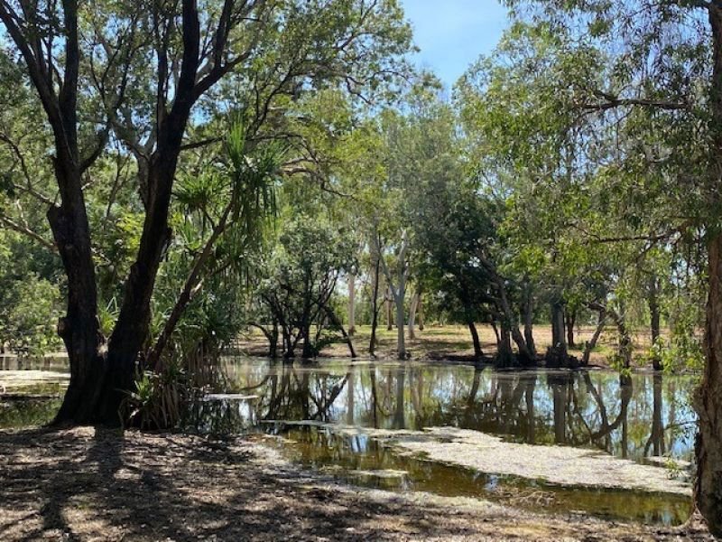 Photo - 281 Shadforth Road, Cossack , Katherine NT 0850 - Image 6