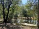 Photo - 281 Shadforth Road, Cossack , Katherine NT 0850 - Image 6