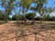 Photo - 281 Shadforth Road, Cossack , Katherine NT 0850 - Image 14