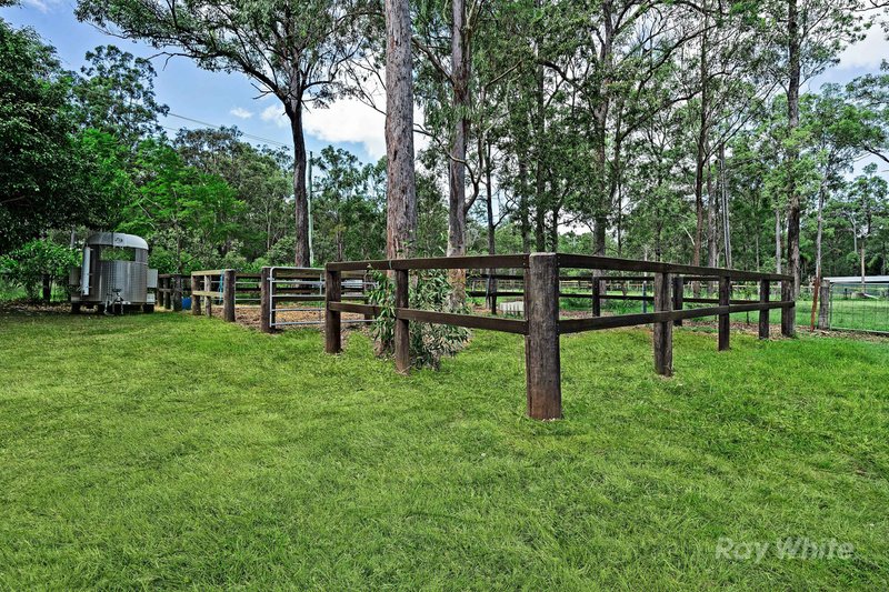 Photo - 282-290 Steele Road, Logan Village QLD 4207 - Image 13