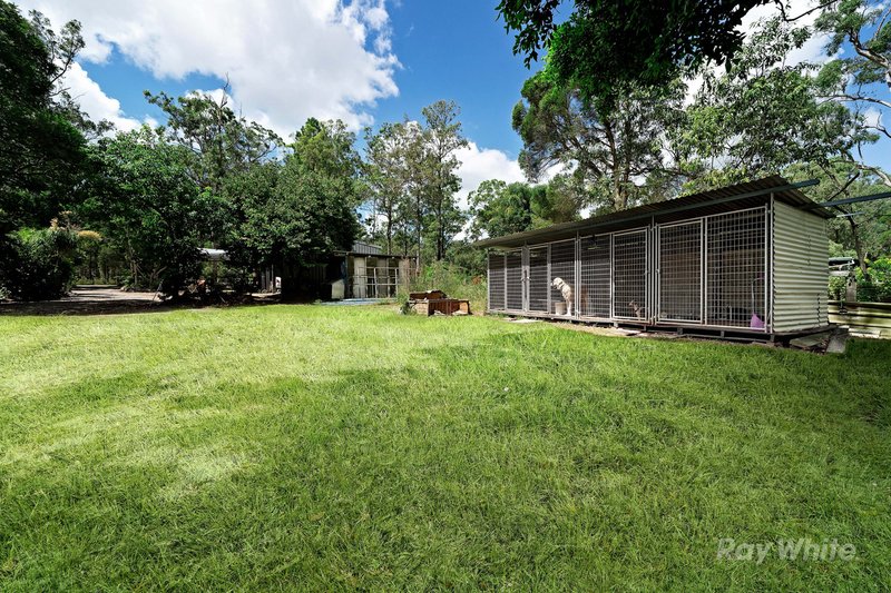 Photo - 282-290 Steele Road, Logan Village QLD 4207 - Image 15