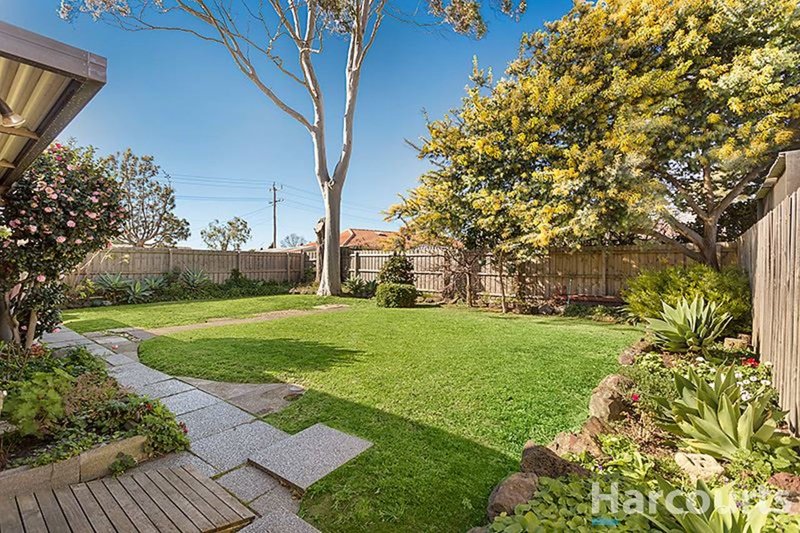 Photo - 282 Brandon Park Drive, Wheelers Hill VIC 3150 - Image 5