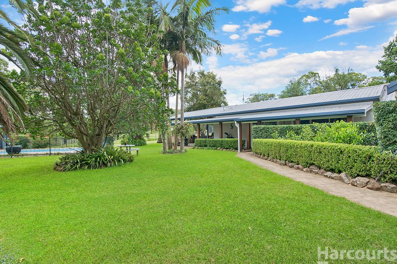 Photo - 282 Careys Road, Hillville NSW 2430 - Image 8