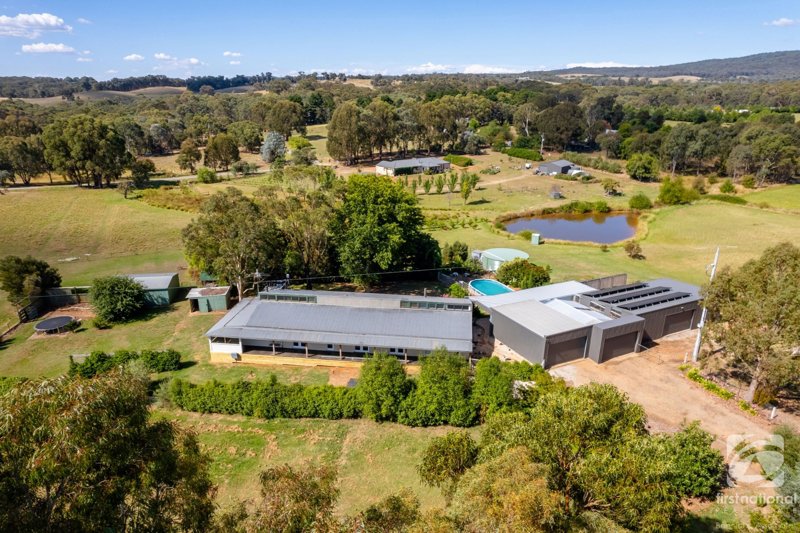 Photo - 282 Fighting Gully Road, Beechworth VIC 3747 - Image 23