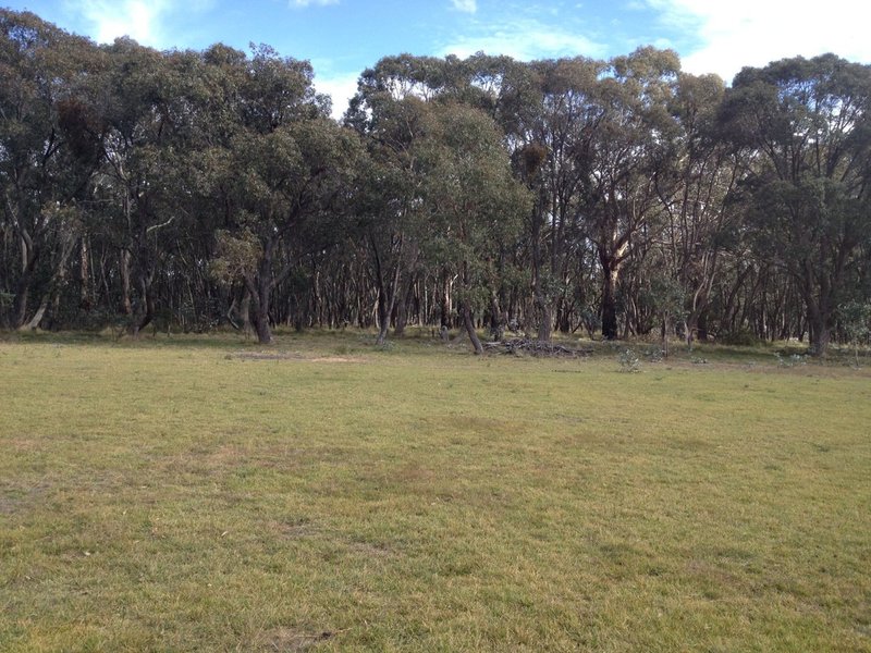 Photo - 282 Old Station Creek Road, Curraweela NSW 2580 - Image 4