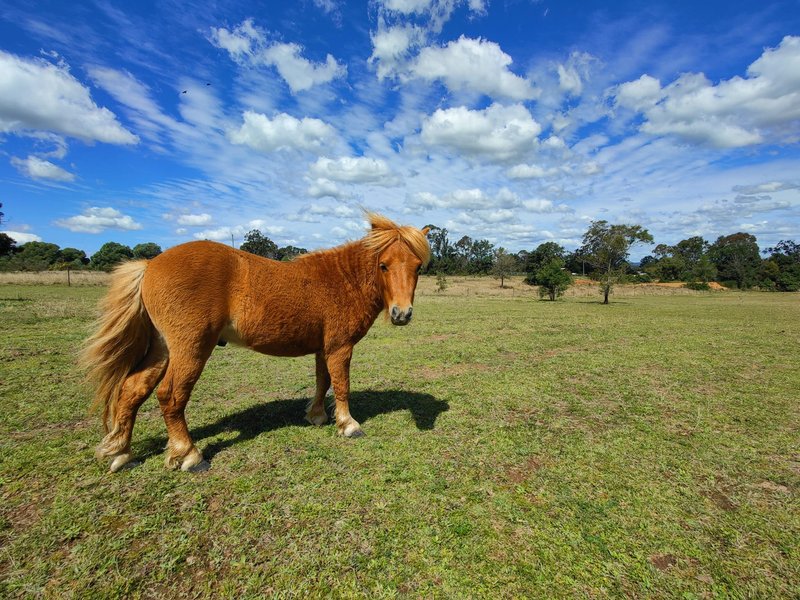 Photo - 282 Smith Road, Booie QLD 4610 - Image 2