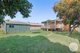 Photo - 284 Goonoo Goonoo Road, Tamworth NSW 2340 - Image 13