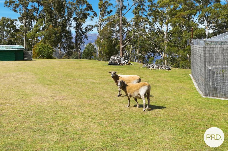 Photo - 285 Collinsvale Road, Collinsvale TAS 7012 - Image 25