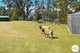 Photo - 285 Collinsvale Road, Collinsvale TAS 7012 - Image 25