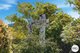 Photo - 285 Collinsvale Road, Collinsvale TAS 7012 - Image 27