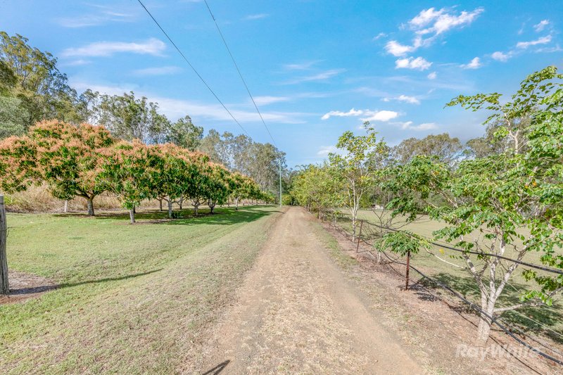 Photo - 285 Delan Road, Bullyard QLD 4671 - Image 25