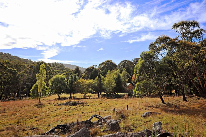 Photo - 285 Elliott Way, Tumbarumba NSW 2653 - Image 12