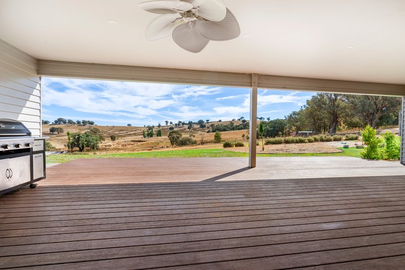 Photo - 285 Hoffmans Road, Culcairn NSW 2660 - Image 17